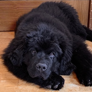 Fundraising Page: Kathleen Knoblock